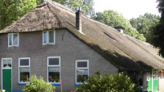 WikiMedia