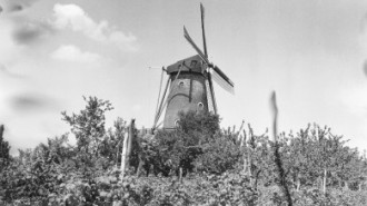 Rijksdienst voor het Cultureel Erfgoed: Korpershoek, W.A.