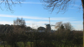 Rijksdienst voor het Cultureel Erfgoed: Terpstra, Frank