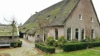 WikiMedia