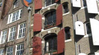 WikiMedia