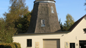 WikiMedia