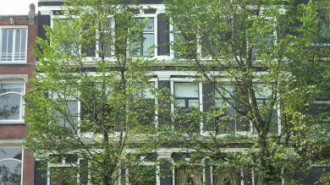 WikiMedia