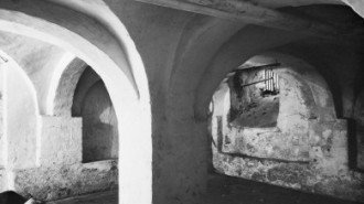 Rijksdienst voor het Cultureel Erfgoed: Delemarre, G.Th.