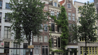 WikiMedia