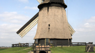 WikiMedia