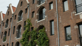 WikiMedia