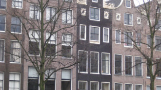 WikiMedia