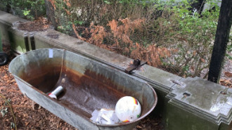 Rijksdienst voor het Cultureel Erfgoed: Bogers, Guido