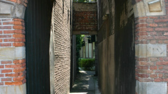 WikiMedia