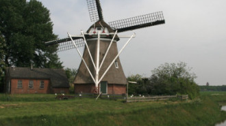 WikiMedia