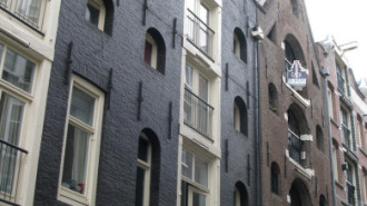 WikiMedia