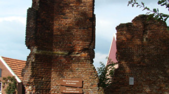 WikiMedia