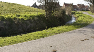 Rijksdienst voor het Cultureel Erfgoed: As, Bert van