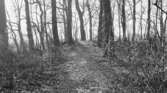 Rijksdienst voor het Cultureel Erfgoed: Dukker, G.J.