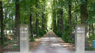 WikiMedia