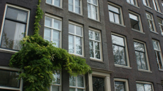 WikiMedia