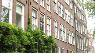 WikiMedia