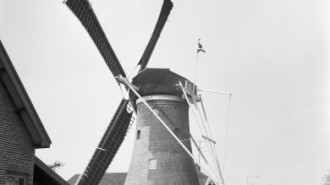 WikiMedia