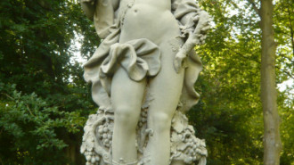 WikiMedia