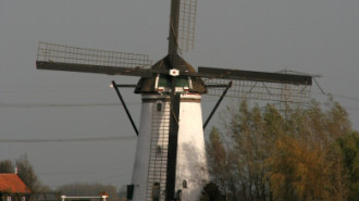 WikiMedia