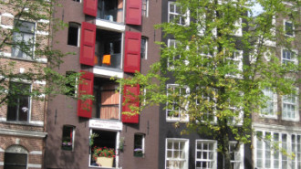 WikiMedia