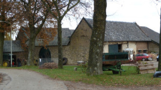 WikiMedia