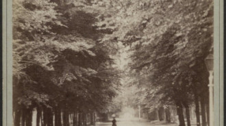 Rijksdienst voor het Cultureel Erfgoed: BRUINING, B.