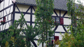 WikiMedia