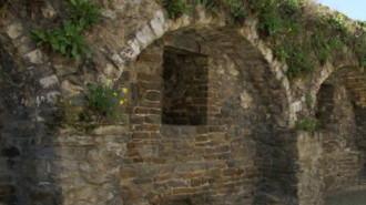 WikiMedia