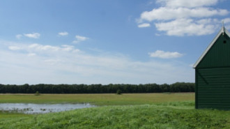 WikiMedia