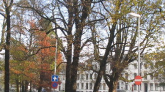 WikiMedia