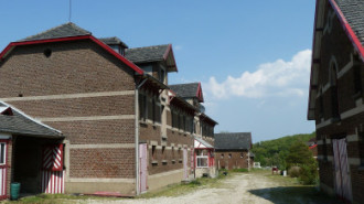 WikiMedia