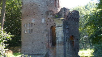 WikiMedia