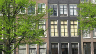 WikiMedia