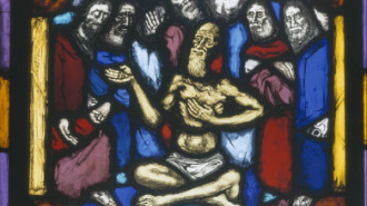 WikiMedia