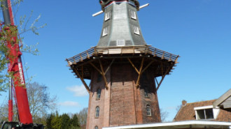 WikiMedia