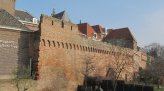 WikiMedia