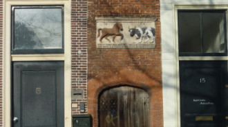 WikiMedia