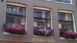 WikiMedia