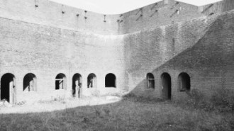 Rijksdienst voor het Cultureel Erfgoed: Tangel, L.M.