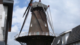 WikiMedia