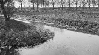 Rijksdienst voor het Cultureel Erfgoed: Galen, P. van