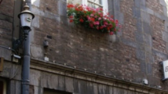 WikiMedia