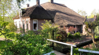 WikiMedia
