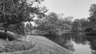 Rijksdienst voor het Cultureel Erfgoed: Wal, A.J. van der