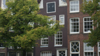 WikiMedia