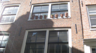 WikiMedia