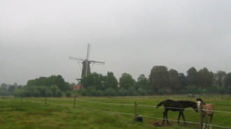 Rijksdienst voor het Cultureel Erfgoed: Terpstra, Frank
