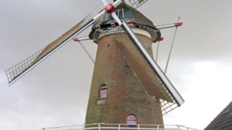 WikiMedia